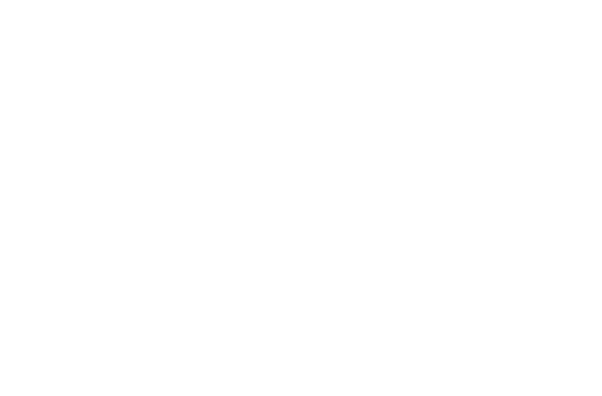 Three Monks and a Duck